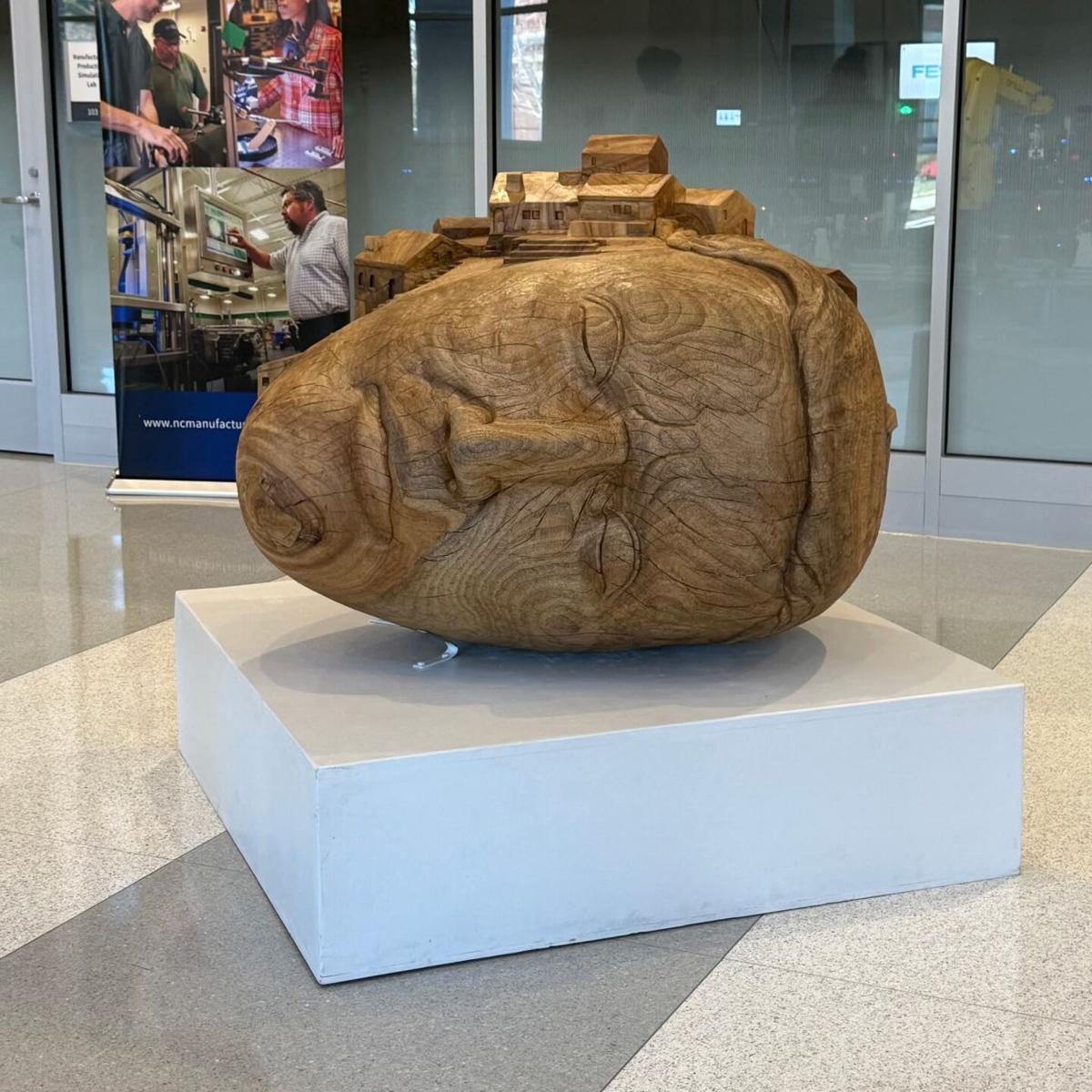 The Architect's Dream