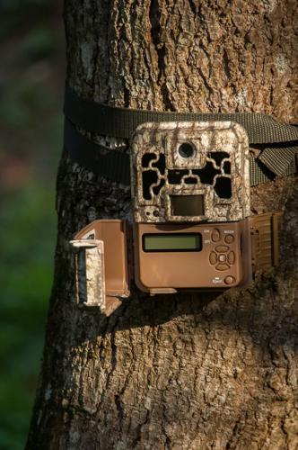 Trail camera