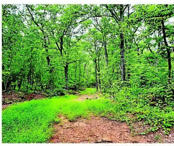 150-acre tract of land preserved