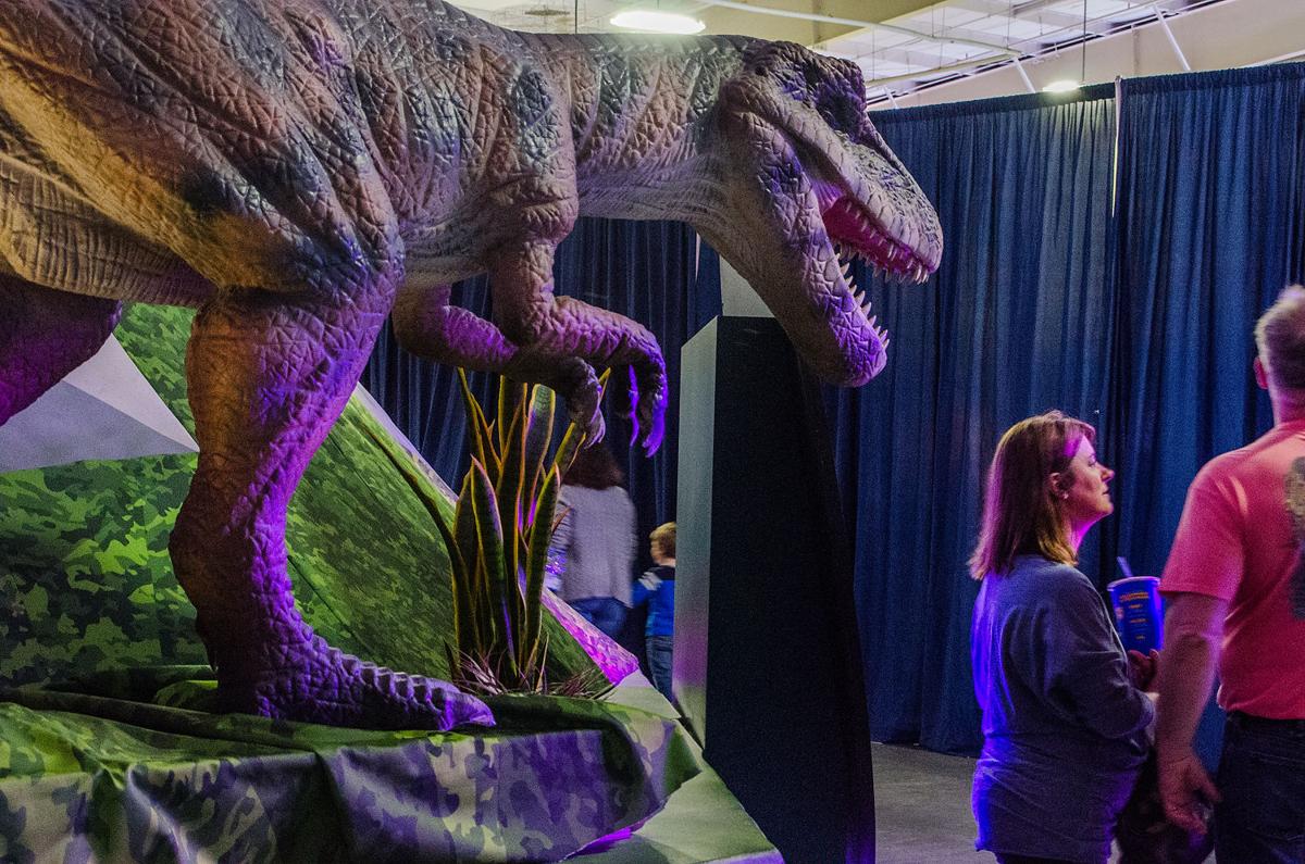 Discover the Dinosaurs | Gallery | independenttribune.com