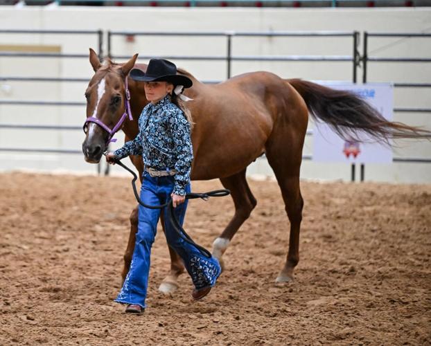 Cabarrus County Fair Livestock Competition
