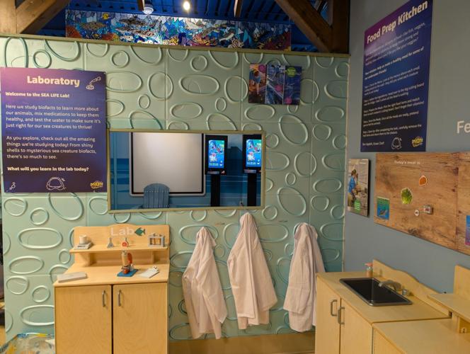 SEA LIFE lab