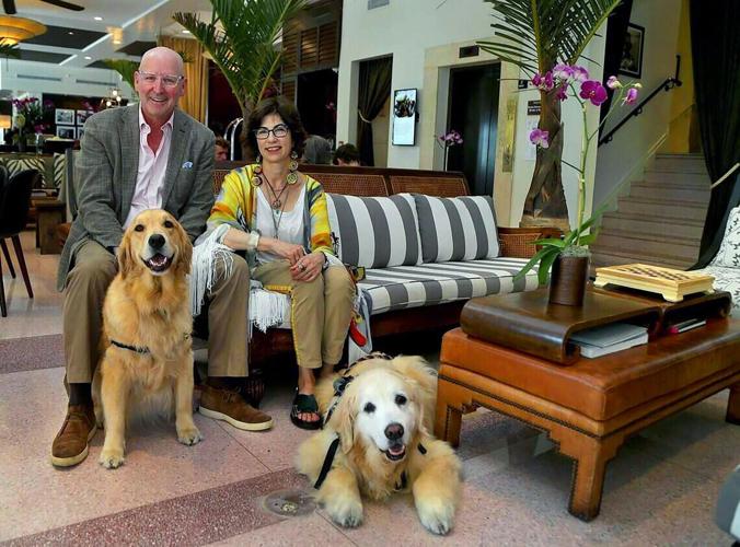 The Betsy hotel owners Jonathan Plutznik Lesley Goldwasserin posed with their golden retrievers, Betsy, left, and Kate, in the lobby of their hotel in Miami Beach.