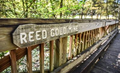 Reed Gold Mine