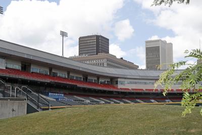 Bisons season cancelled (copy)