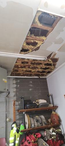 Tree on Kannapolis Fire Station 4