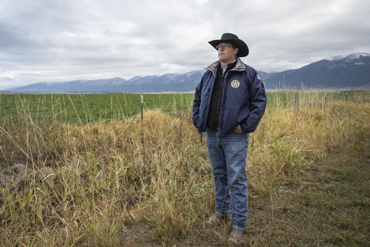 Yellowstone Livestock 7