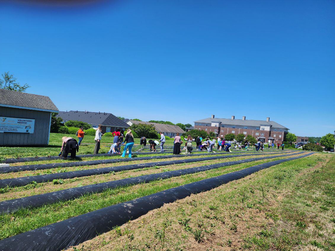 Share the Harvest Farm