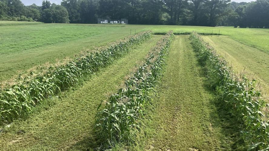 Organic Soil Health Field School: Train-the-Trainer