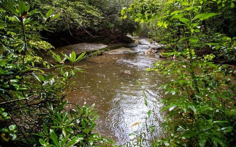Whaleback swimming hole in Pisgah National Forest, Aug. 15, 2025.