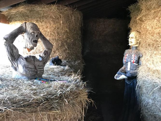 Scaring runs in the family at Scary Dairy