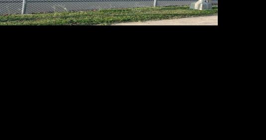 Friday Five: Pickleball, parks and progress - Vimarsana News