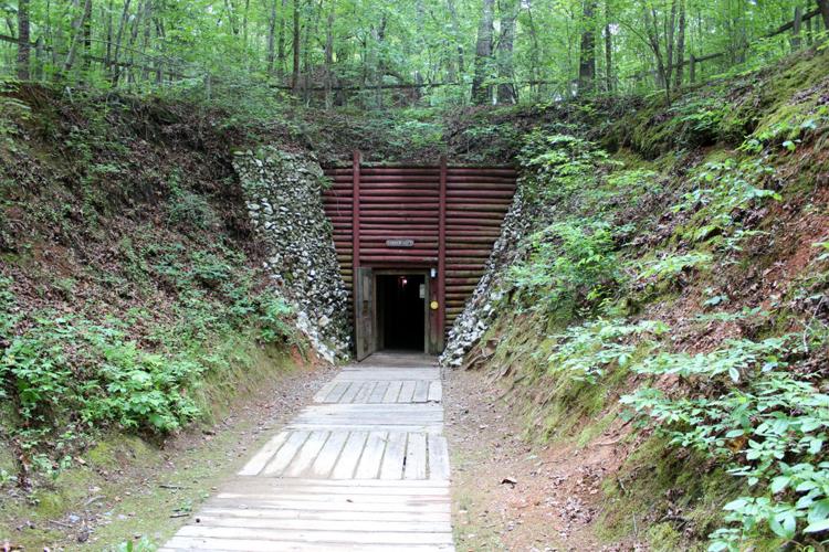 Reed Gold Mine