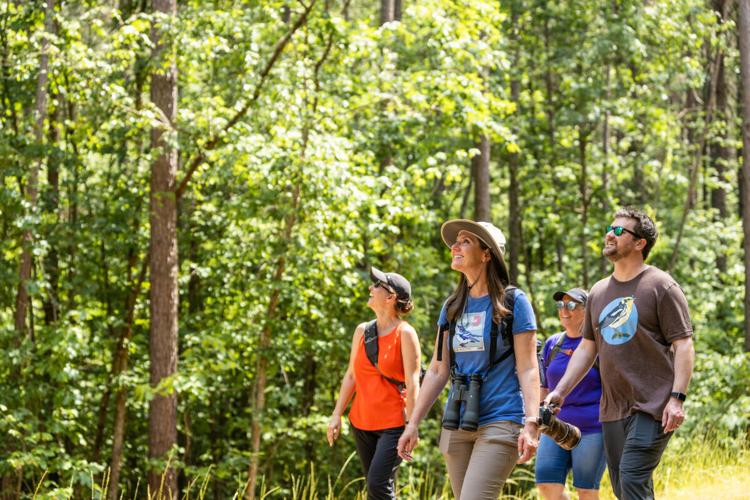 Your Go-To Guide to Catawba County Parks