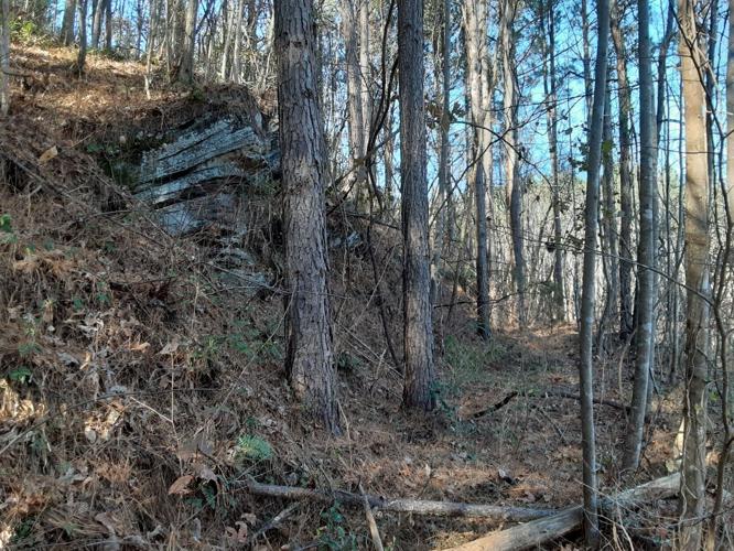 jacob fork photo 2.jpg