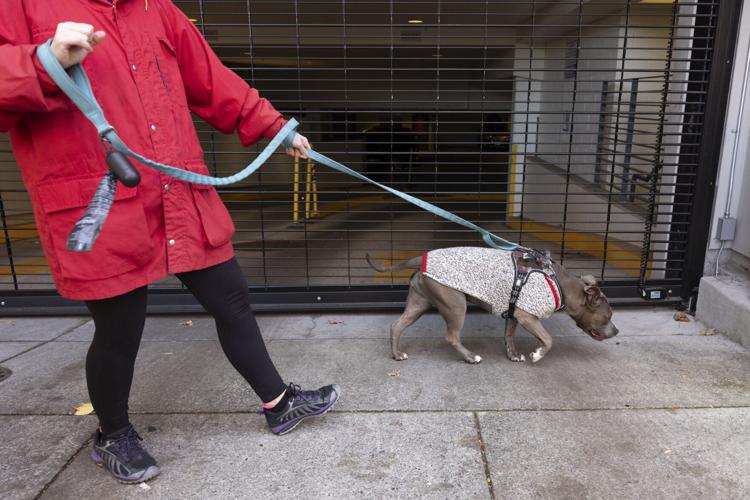 xxxDomestic Violence Assignment_Jessie