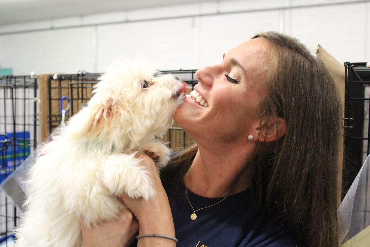 Puppy mill
