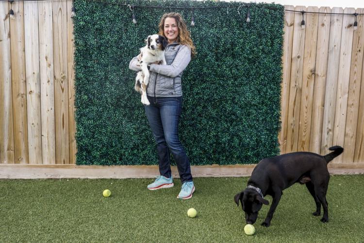 013123-rtd-met-puppy