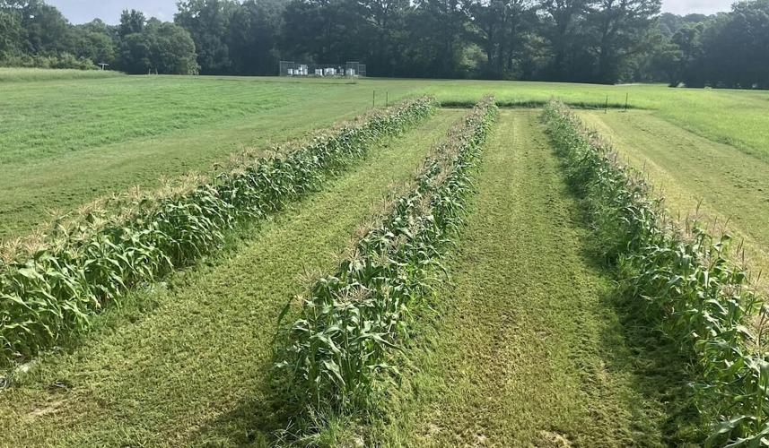 Organic Soil Health Field School: Train-the-Trainer