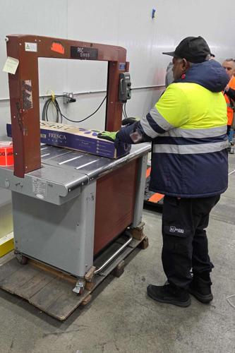 Valentine's Day Flowers