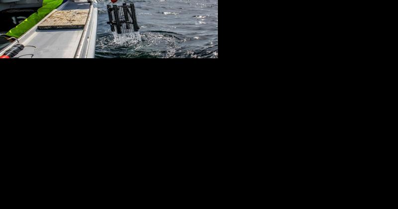 Baffling find made on seafloor 100 miles off Maine, NOAA says. 'What are the odds?' - Vimarsana News