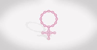 The International Olympic Committee is reinstating genetic testing for all female athletes competing in the 2028 Summer Olympics and future IOC events.