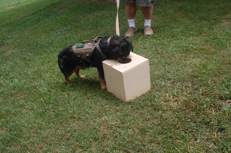 060824-srl-news-merit-p2