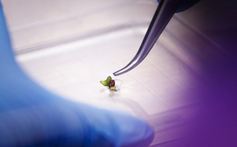 WSSU Astrobotany Blue Origin