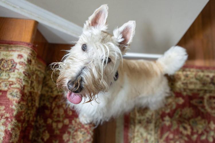 072024-rtd-met-scottie