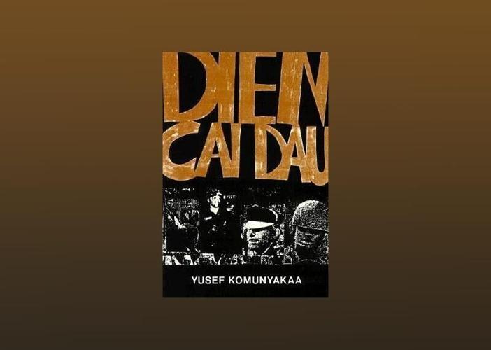 Dien Cai Dau