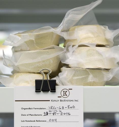 20170101g_nws_kepley