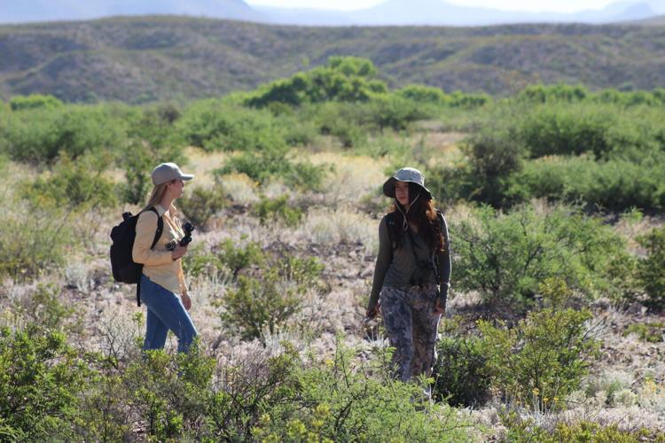 BioBlitzers catalog wildlife in U.S., Mexico as walls go up along border