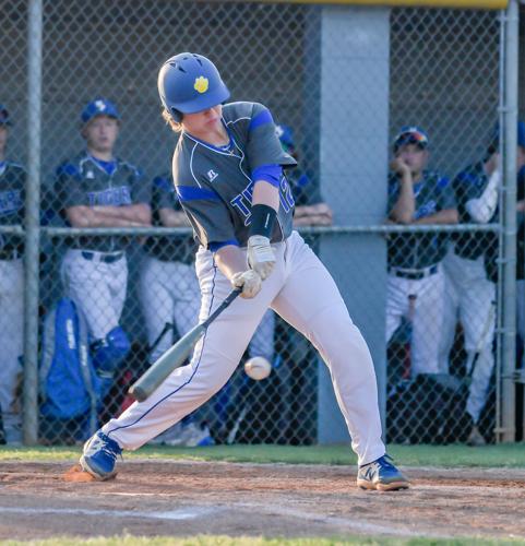 The Tigers defeated the Bulldogs 12-5.
