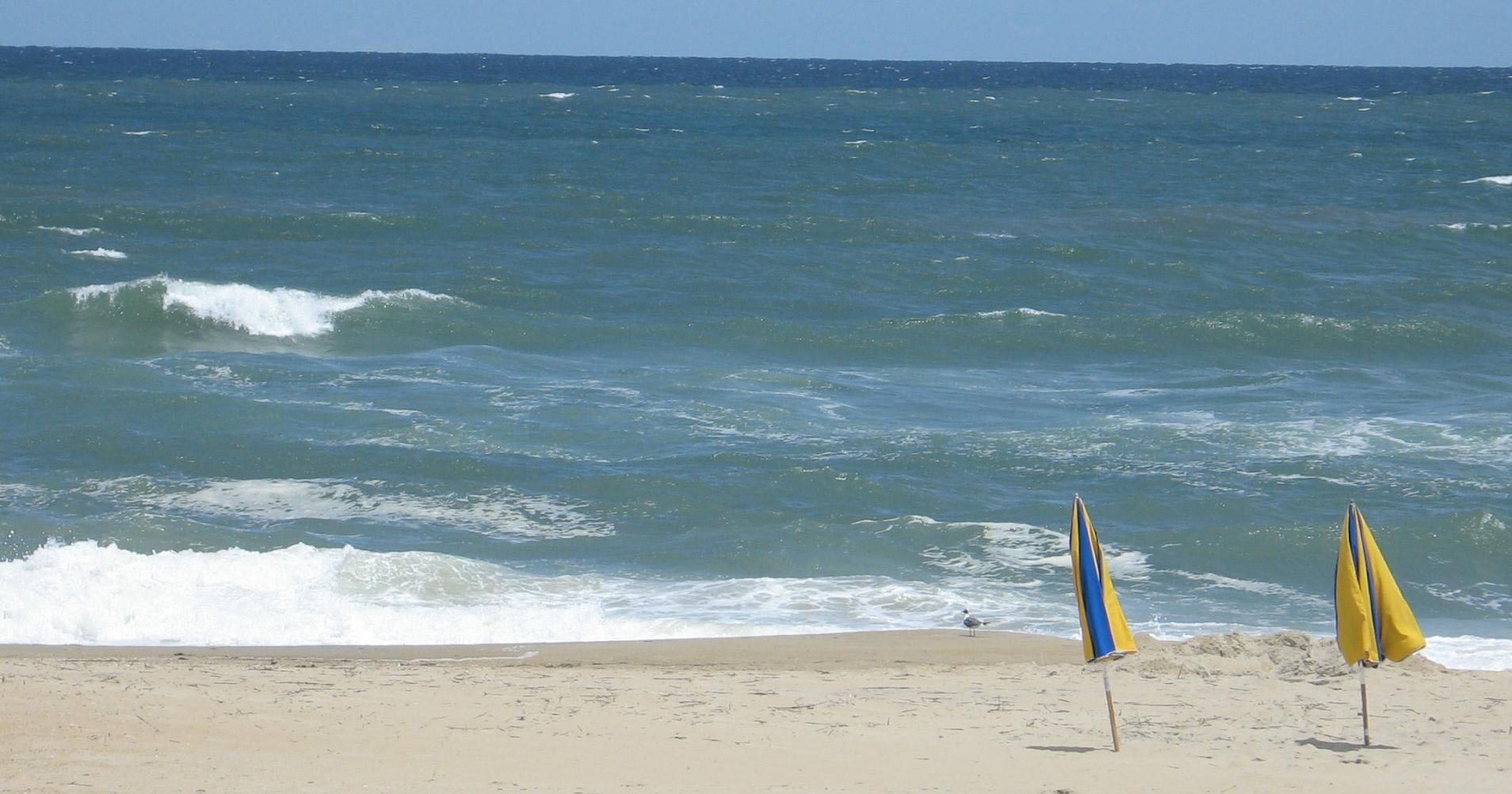 NC teen with brain cancer wanted to touch ocean. How Outer Banks community made it happen - Vimarsana News