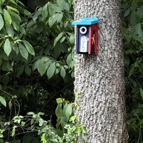 Kannapolis birdhouses