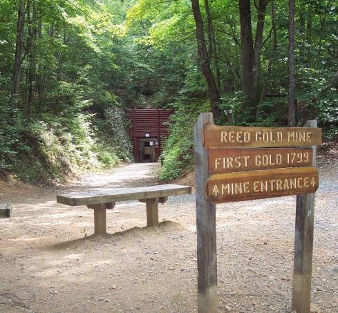 Reed Gold Mine