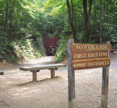 Reed Gold Mine