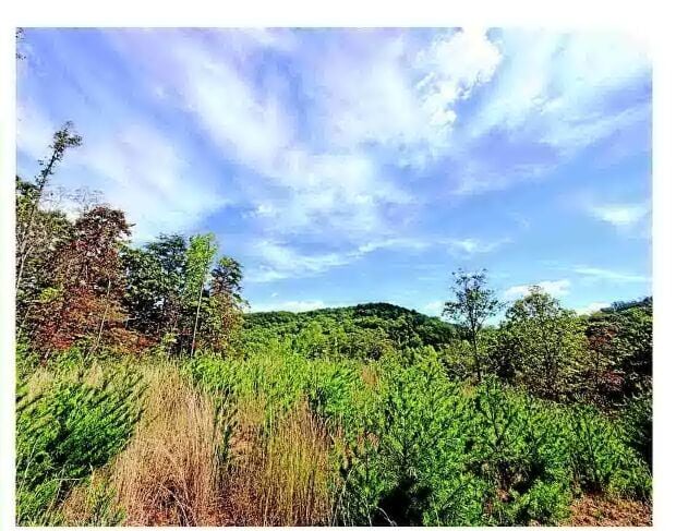 150-acre tract of land preserved