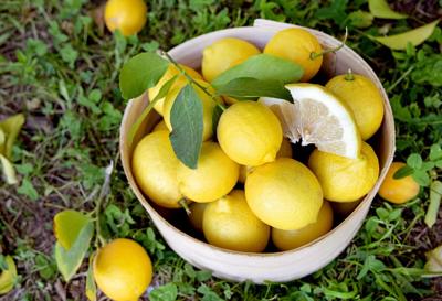 Issue No. 50: Lemons in Arizona