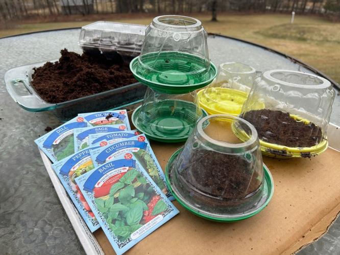 Gardening-Creative Reuse