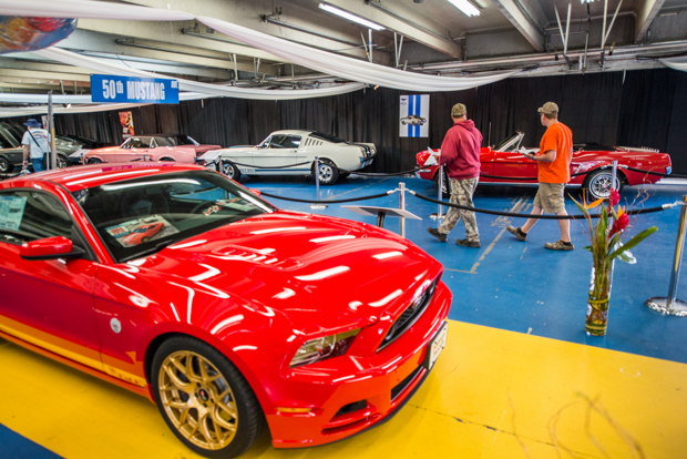 AutoFair