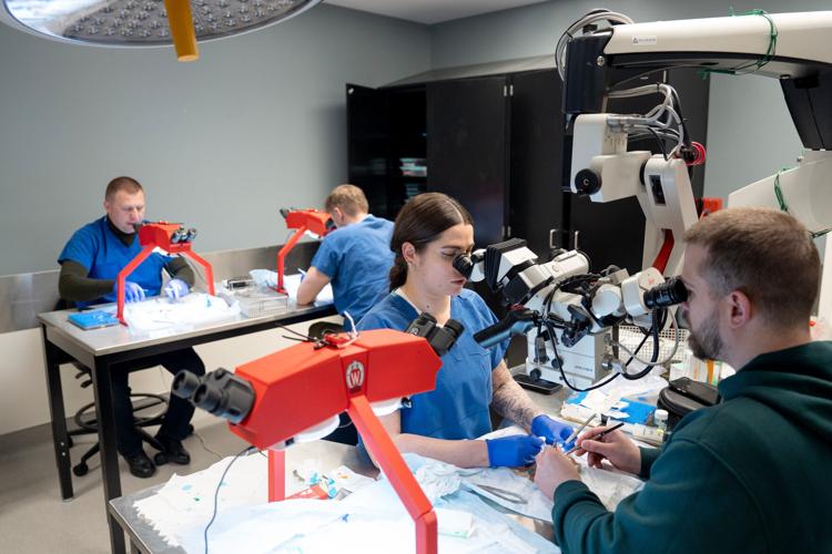 Ukrainian surgeon Anya Ubovenko practices suturing the blood vessels in a chicken thigh during a microsurgery lesson at the UW Microsurgery Regenerative Medicine Lab in Madison. The plastic surgery division hosted six Ukrainian frontline trauma surgeons fo