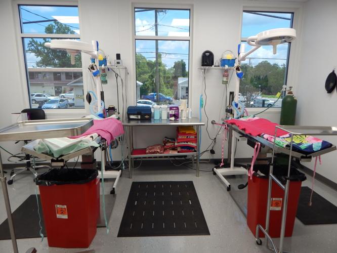 Cabarrus Spay Neuter Clinic