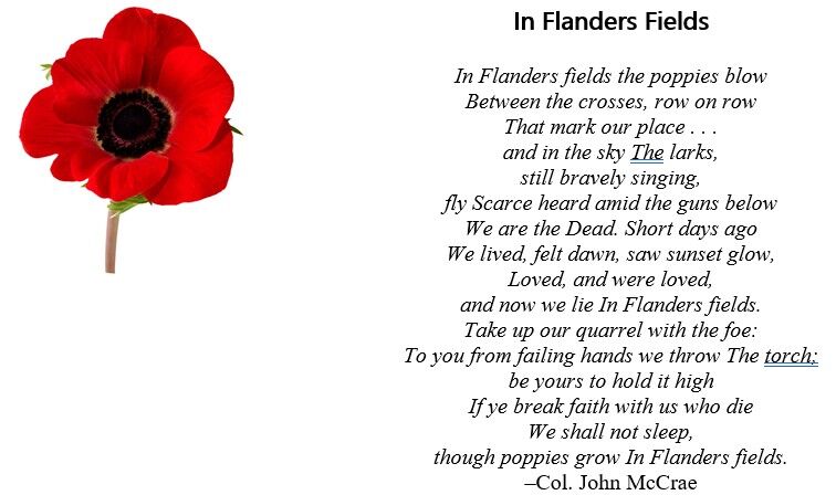 Flanders Fields