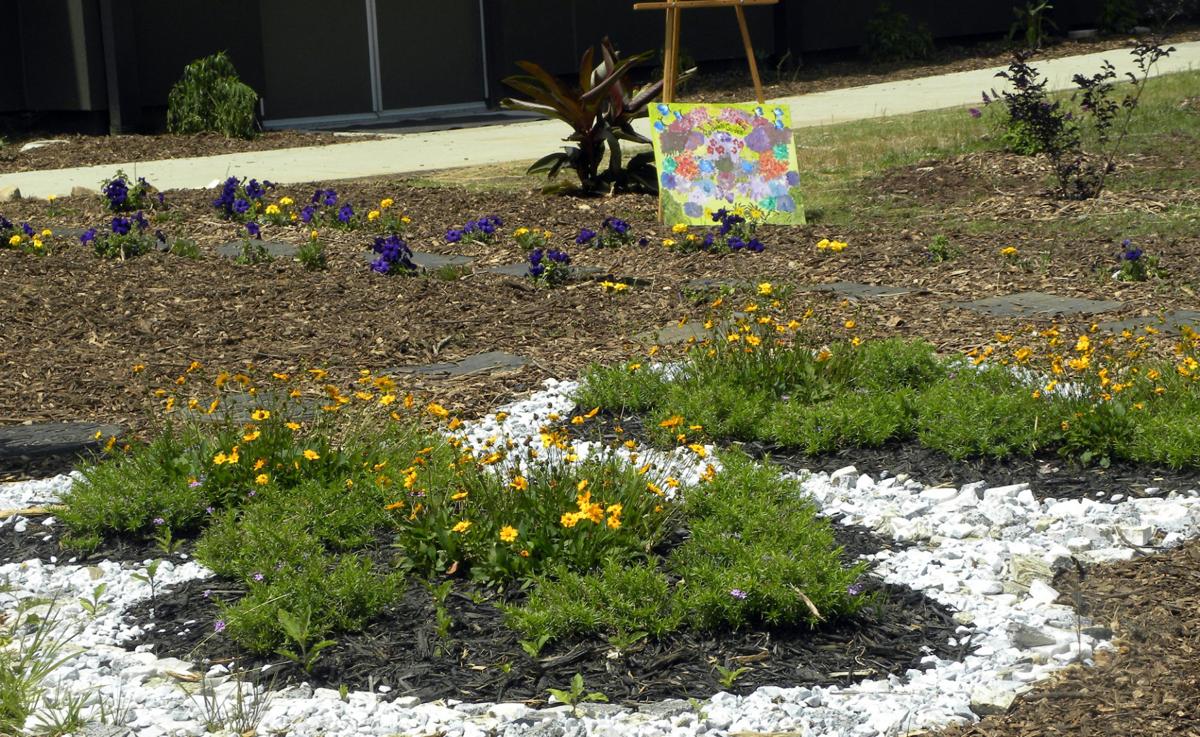 Rachael's butterfly garden comes home | News ...