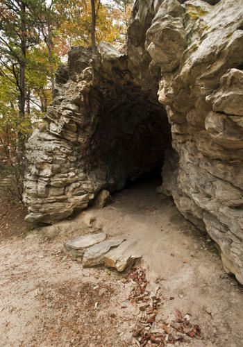 Tory's Den