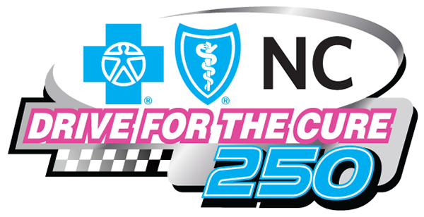 Drive For The Cure 250