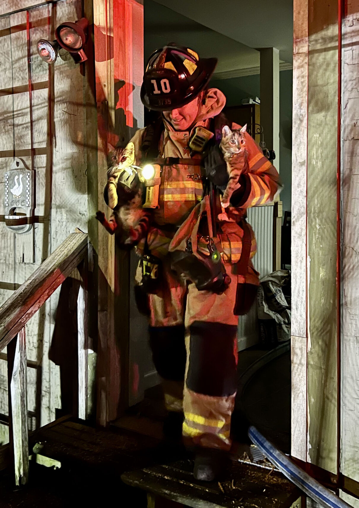 Cats, dogs rescued from burning Concord home