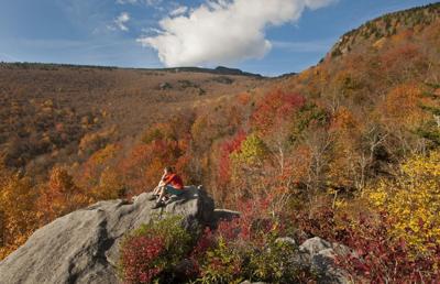 20200726g_edi_melanie-WSJ0017821594