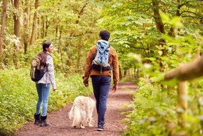 LIFE-HEALTH-STATES-TICKS-FILEPIC-DMT